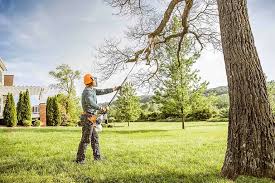 Best Weed Control  in Ruidoso, NM